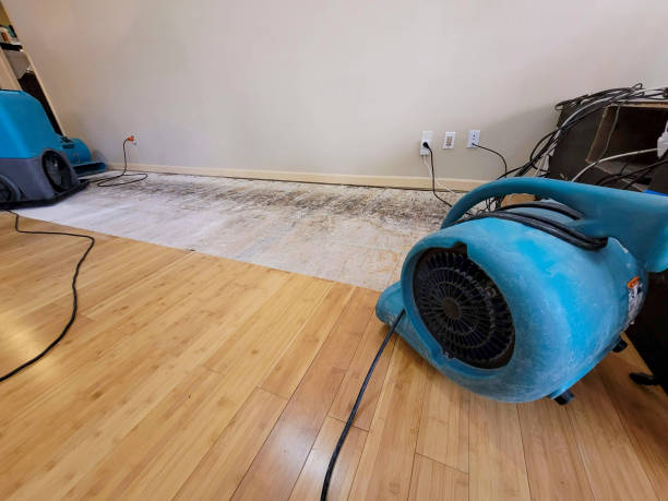 Professional Emergency Water Damage technician working in Central City, KY
